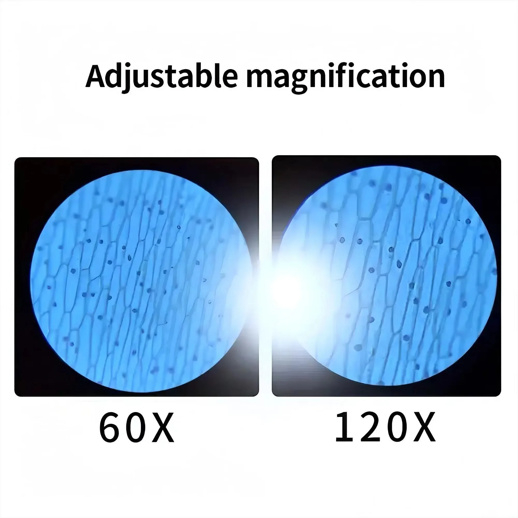 مجهر جيب صغير محمول بتكبير 60x - مراجعة Microscope Kids Science وسعره
