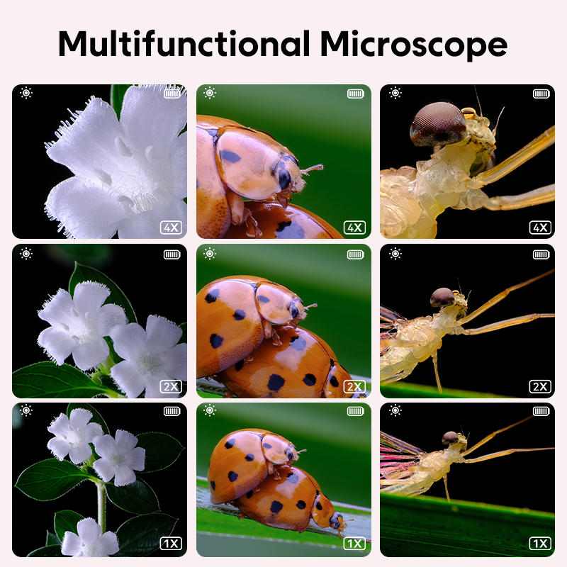 مجهر بصري صغير للأطفال مع وظيف - مراجعة Microscope Kids Science وسعره