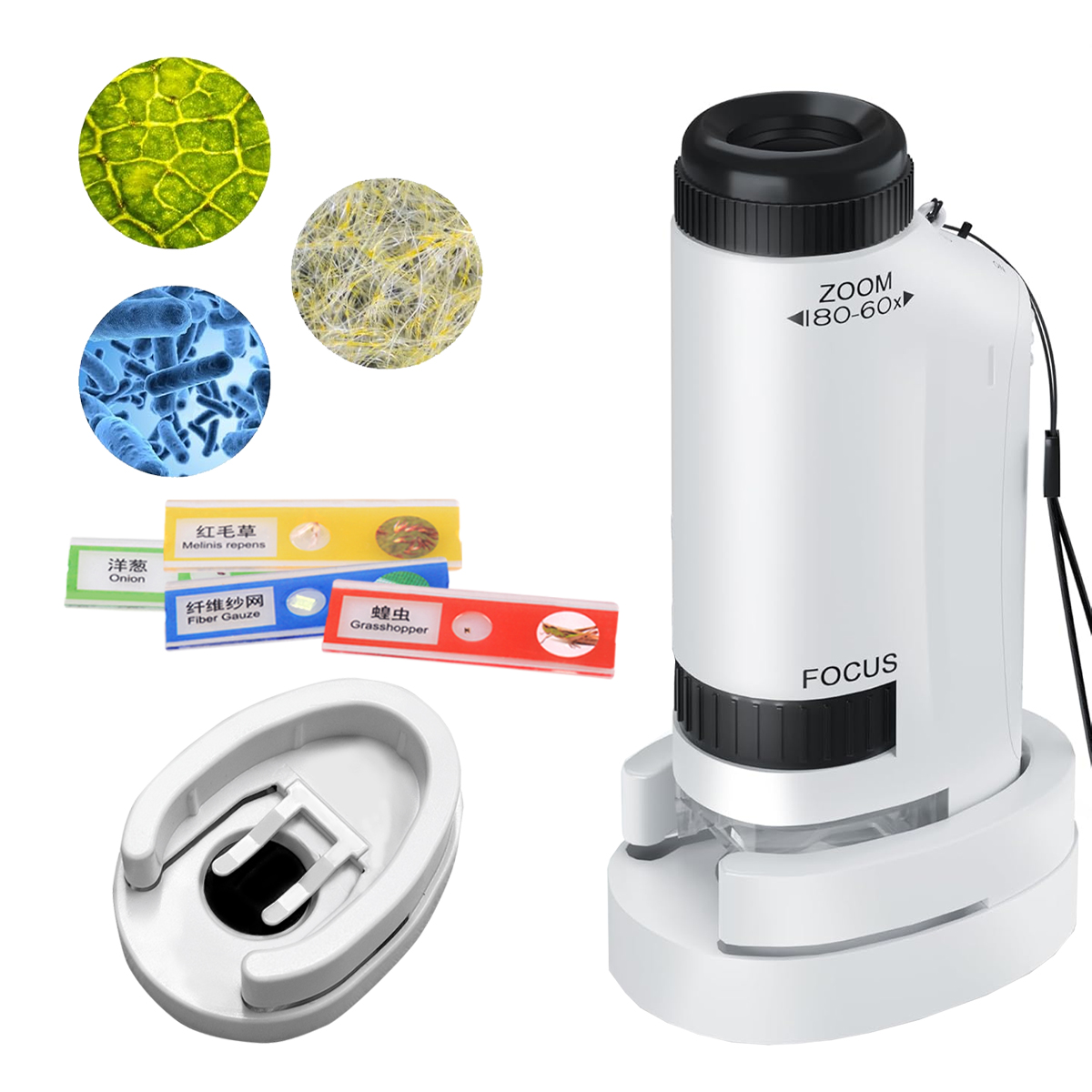 مجموعات ألعاب مجهر صغير محمول، - مراجعة Microscope Kids Science وسعره